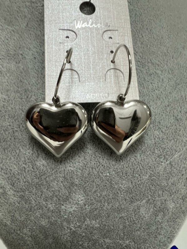 Pendientes Modelo Encanto